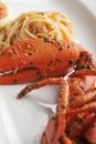 Lobster seafood pasta linguine Royalty Free Stock Photo