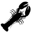 Lobster or shrimp tattoo. A crustacean animal