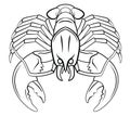 Lobster Sketch Black And White Illustration Design