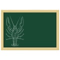 Lobster sketch. Chalk on green blackboard