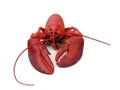 Lobster - steamed Royalty Free Stock Photo