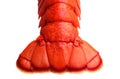 Lobster tail
