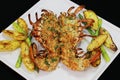 Lobster thermidor served with glazed potato and asparagus in a platter, black background Royalty Free Stock Photo