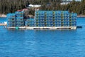 Lobster Traps On Floating Dock Royalty Free Stock Photo