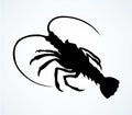 Lobster. Vector drawing Royalty Free Stock Photo