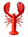 Lobster