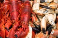 Lobsters background, cooked langoustine and seafood in market Royalty Free Stock Photo
