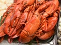 Lobsters being sold in victoria market Royalty Free Stock Photo