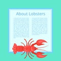 About Lobsters Vector Illustration on Azure Color