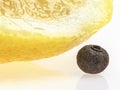 Lobule of lemon and seed of allspice Royalty Free Stock Photo