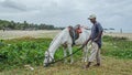 A local aboriginal man with the horse on the beach Royalty Free Stock Photo