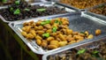 Local appetizers: fried insects, small animals seasoned and fried in a hot pan. Royalty Free Stock Photo