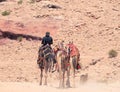 Local bedouin guide riding a camel in the desert of Petra, Jordan. Rear view Royalty Free Stock Photo