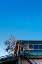 Local blue Japanese house with colourful autumn persimmon tree with fruits against blue clear sky