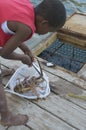 Local boy with Caribbean lobster, Garner Bay, BVI
