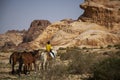 A local boy from Petra, Jordan and three horses Royalty Free Stock Photo