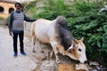 A local with a bull near Jaipur, India.