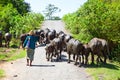 Local cattle breeder with his herd