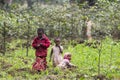 Local children working on the coffee- and banana- plantation fields.