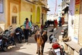 A local walks down the street in Pushkar, India.