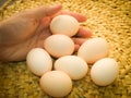 Local eggs woven mat closeup. Fresh rural eggs in hand with Woven yellow mat background