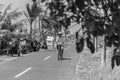 Local man riding a bicycle on a rural road in Bali, Indonesia. Black and white. Royalty Free Stock Photo