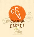 Local Farm Carrot. Hand drawn Organic Vegetable Eco Design Element. Vector illustration