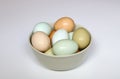 Local Farm Fresh Eggs in a Bowl Royalty Free Stock Photo