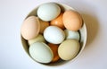 Local Farm Fresh Eggs in a Bowl Royalty Free Stock Photo