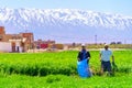 Local farm workers, Middle Atlas Mountains