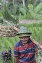 Local farmer in Rice Terrace in Bali Asia Indonesia