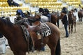 local farmers riding their quaterhorses, competing at a cutting horse, futurity event Royalty Free Stock Photo