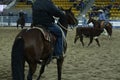 local farmers riding their quaterhorses, competing at a cutting horse, futurity event Royalty Free Stock Photo