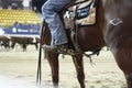 local farmers riding their quaterhorses, competing at a cutting horse, futurity event Royalty Free Stock Photo