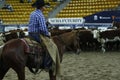 Local farmers riding their quaterhorses, competing at a cutting horse, futurity