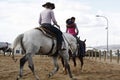 Local farmers riding their quaterhorses, competing at a cutting horse, futurity Royalty Free Stock Photo