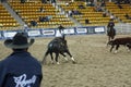 local farmers riding their quaterhorses