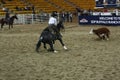 local farmers riding their quaterhorses