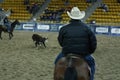 local farmers riding their quaterhorses