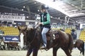 local farmers riding their quaterhorses