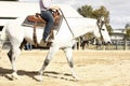 local farmers riding their quaterhorses