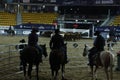 local farmers riding their quaterhorses