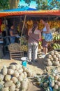 Tourists stop and buy fresh fruit form a local roadside stall in The Philippines.