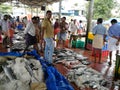 Local fish market in small remote village in Kerala.