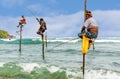 The local fisherman fishing in Galle, Sri Lanka Royalty Free Stock Photo