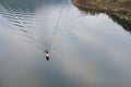 local fisherman sailing on sailboat