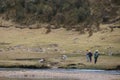 Local fishermen fishing at a river close to the valley of Jancapampa, Peru