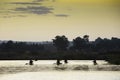 Local fishermen in papyrus canoes Royalty Free Stock Photo