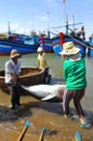 Local fishermen are transporting tuna fish from their vessels to the stretcher and bring it to the testing house in Tuy Hoa