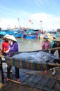 Local fishermen are transporting tuna fish from their vessels to the stretcher and bring it to the testing house in Tuy Hoa